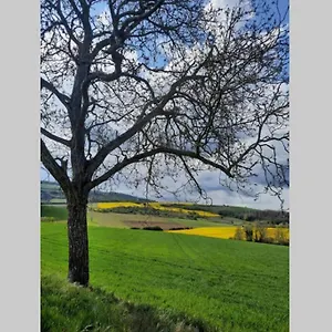 la-dilettante-petite-maison-renovee-avec-jardin.hotels-rhonealpes.com/